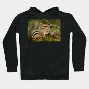 Chipmunk Hoodie